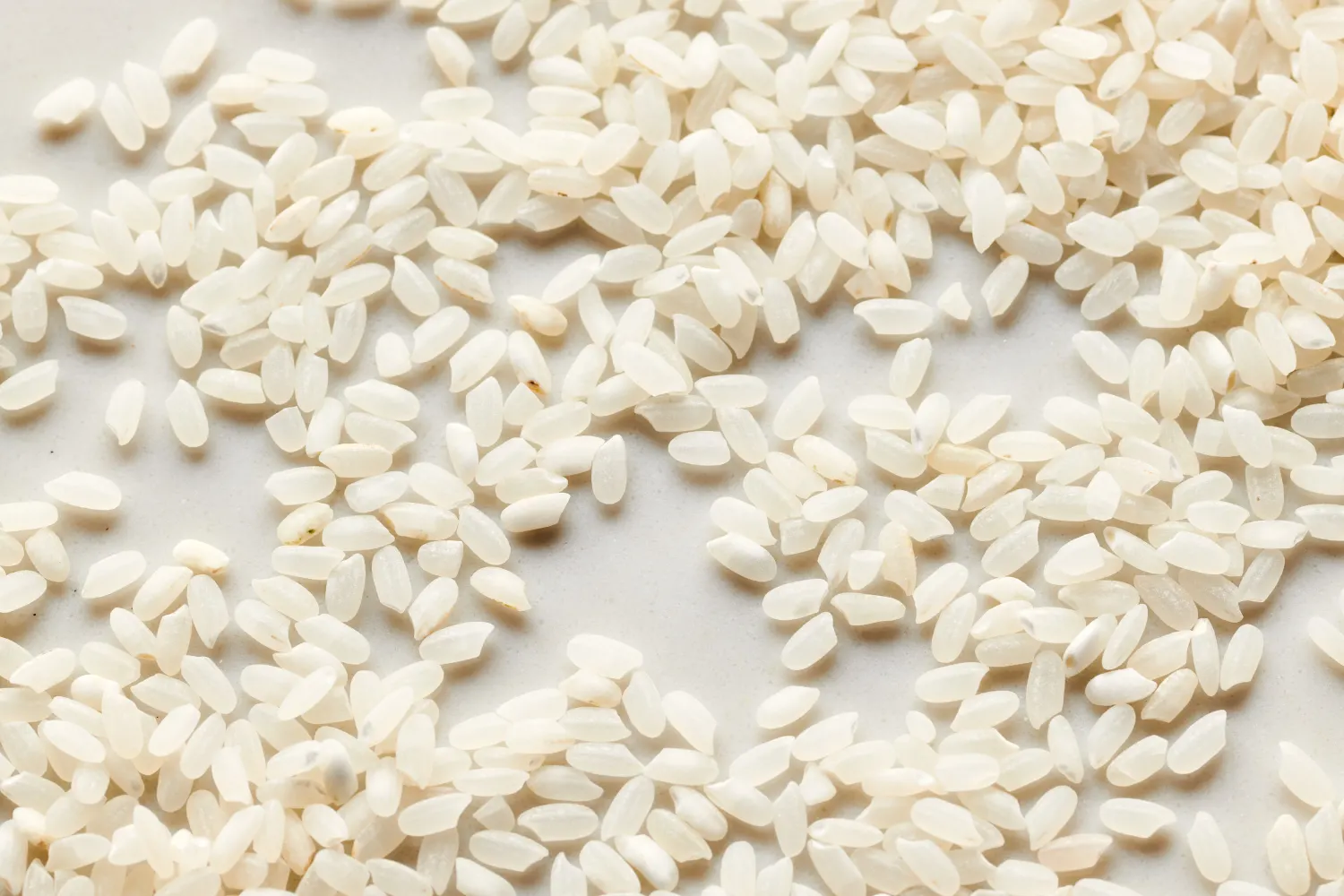 Short Grain Rice